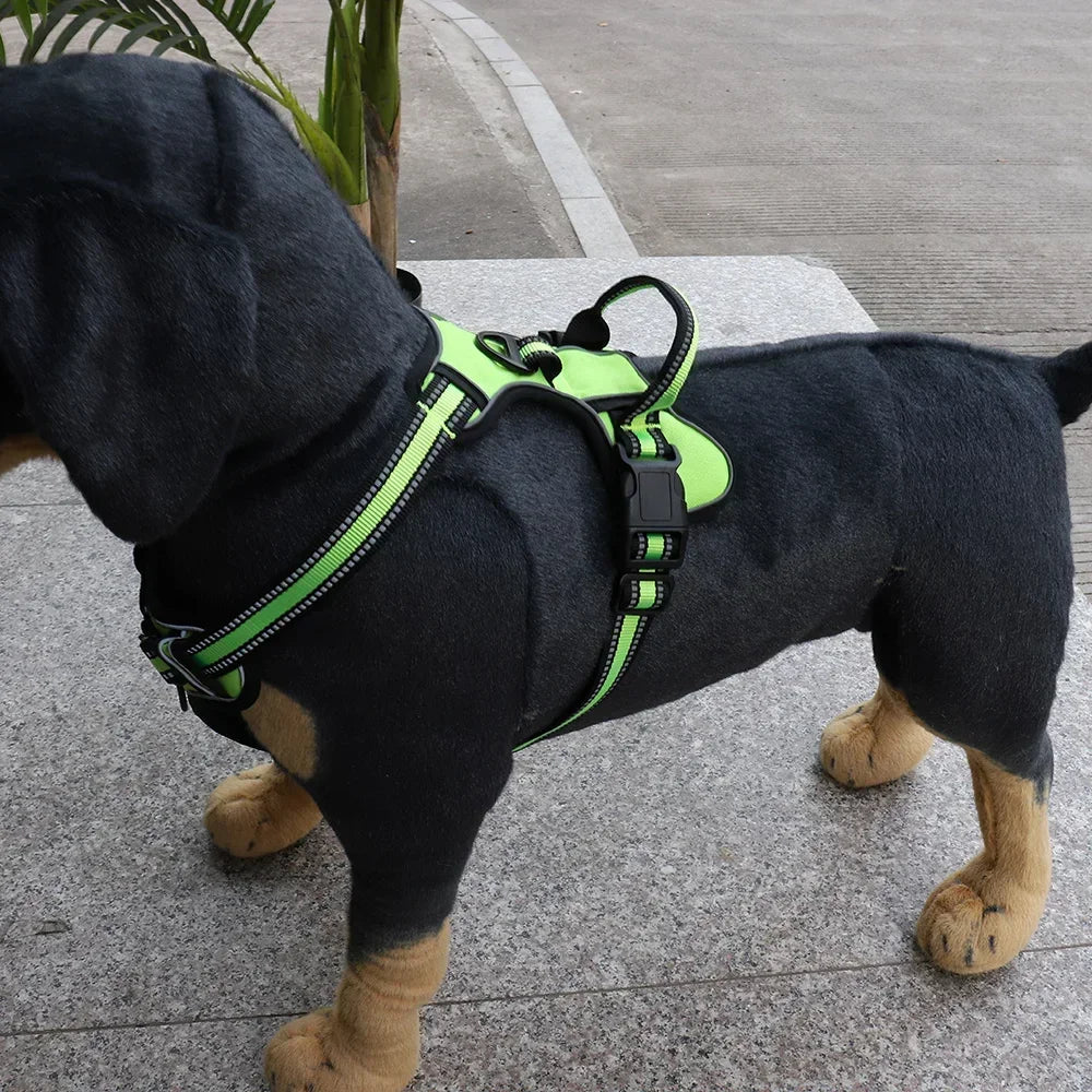 Adjustable No-Pull Dog Harness & Leash Set